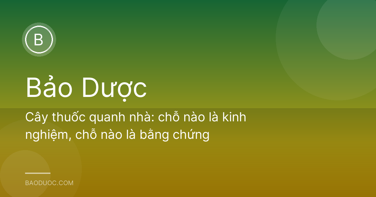 Cây thuốc quanh nhà: chỗ nào là kinh nghiệm, chỗ nào là bằng chứng