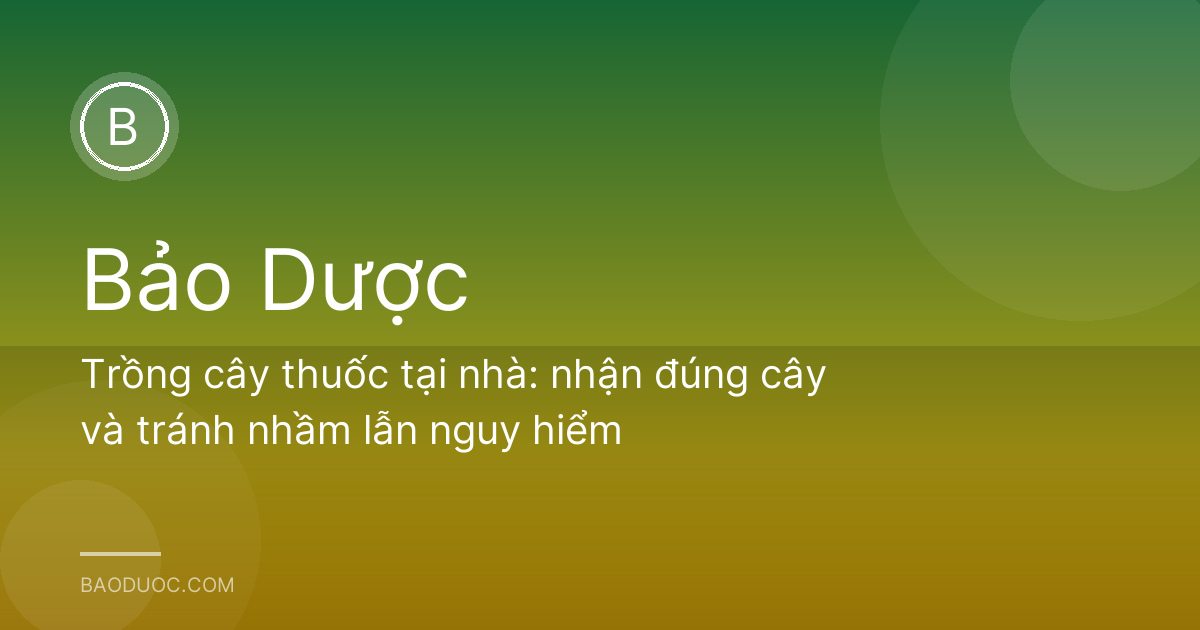 Trồng cây thuốc tại nhà: nhận đúng cây và tránh nhầm lẫn nguy hiểm